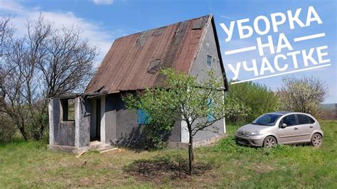 Возможности восстановления заброшенного дачного участка