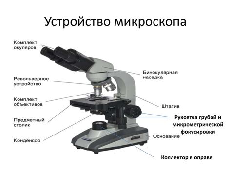 Возможности светового микроскопа