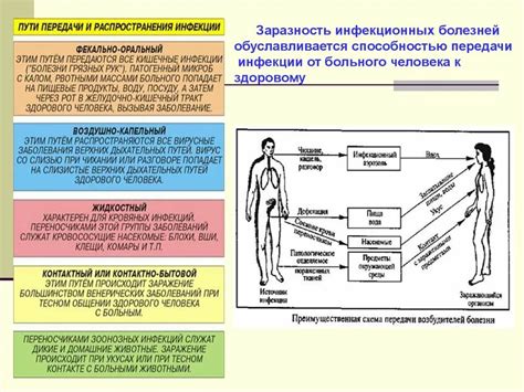 Возможность передачи заболеваний с человека на кошку