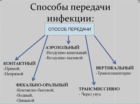 Возможность передачи инфекций и болезней при поцелуях умершим