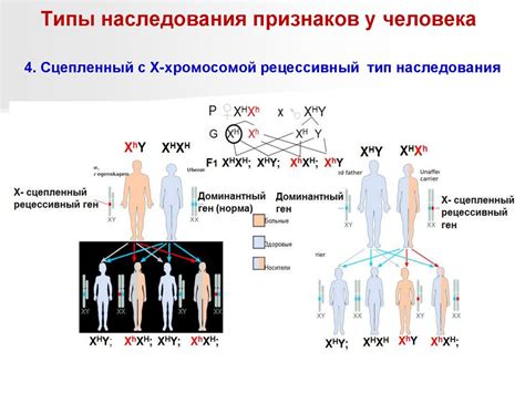 Возможность передачи рахита по наследству