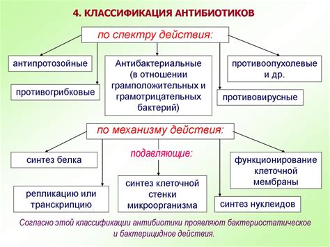 Возможные взаимодействия Детралекса с антибиотиками: