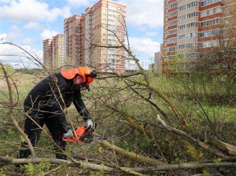 Возможные виды работ на субботниках