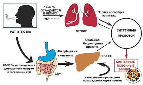 Возможные побочные эффекты глюкофажа