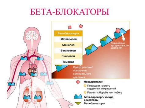 Возможные побочные эффекты и их преодоление