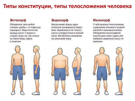 Возможны ли изменения в типе телосложения взрослого человека?