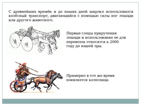 Возникновение лошади и ее первые следы