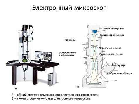 Возникновение электронного микроскопа