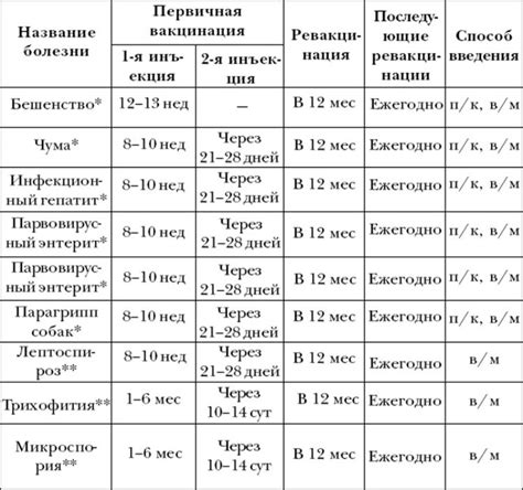 Возрастные ограничения для прививки собакам мелких пород