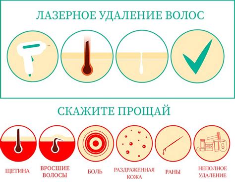 Время восстановления волосяных фолликулов