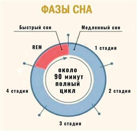 Время начала миграции и продолжительность перелёта