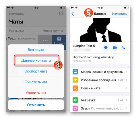 Вход в WhatsApp и выбор чата