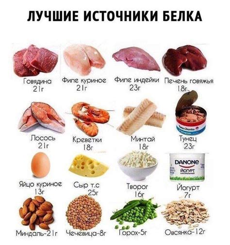 Выбирайте продукты с высоким содержанием белка