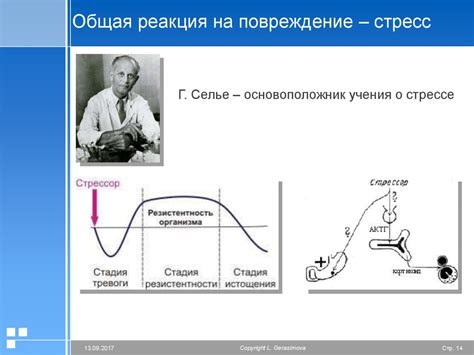 Выборы, реакция организма, срок употребления