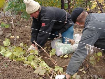 Выбор и подготовка укрытия