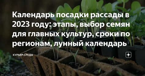 Выбор подходящего времени для посадки