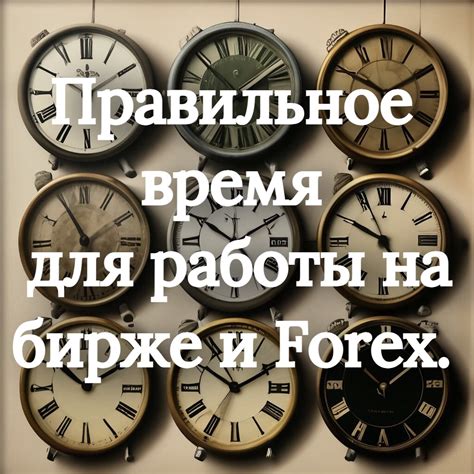 Выбор правильного времени для отдыха в первом году работы