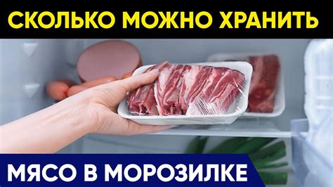 Выбор правильной морозилки для замораживания маслят