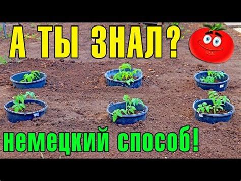 Выбор сезона для посадки