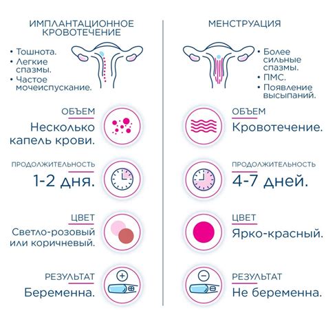 Выделения каждый день: необходимая функция организма или симптом заболевания?