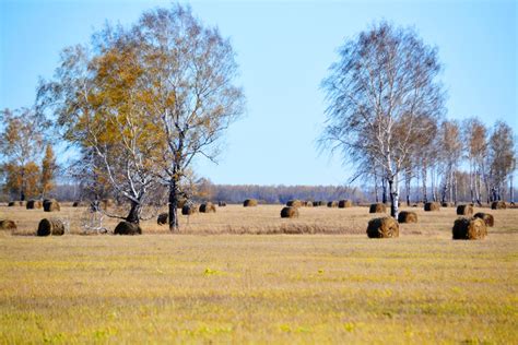 Высокая цена на корма в зимний период