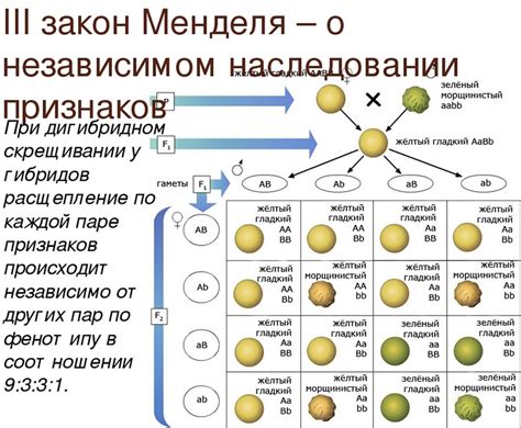 В генетике