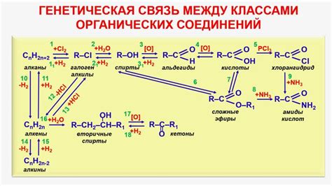 Генетическая связь