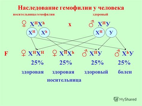 Генетические исследования для определения пола