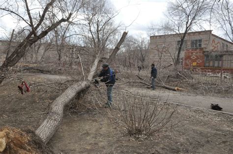 Главные последствия ветра