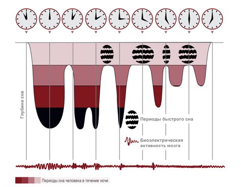 Глубокий сон и фазы сна