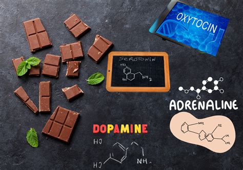 Гормоны счастья в шоколаде: положительный эффект на настроение