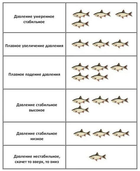 Давление и активность рыбы: как связаны эти факторы