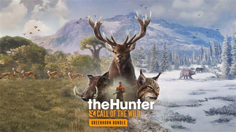 Дата релиза обновления The Hunter Call of the Wild