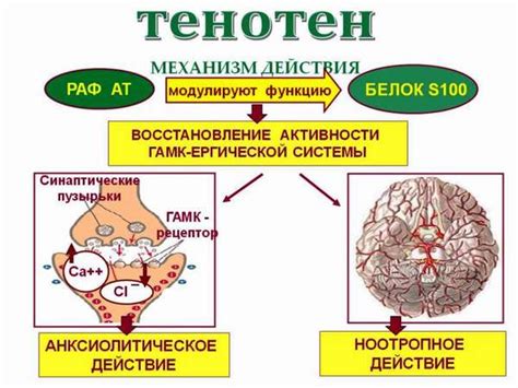 Действие Тенотена на детей