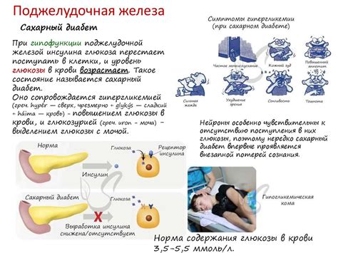 Действие гормонов сна