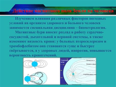 Действие погодных факторов