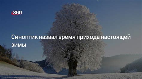 Декабрь - время прихода зимы