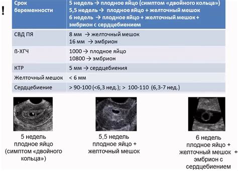 Диагностика беременности