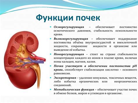 Длительная замена функции почек