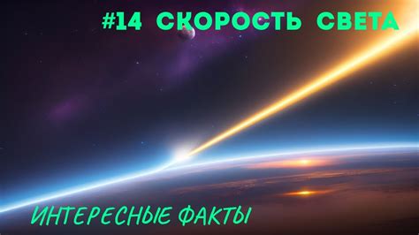 Длительность и скорость миграции: интересные факты