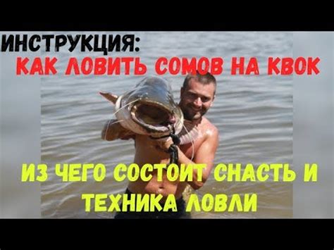 Длительность и частота клёва сома на квок