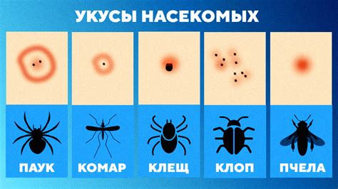 Если укус был глубоким и сильно кровоточит