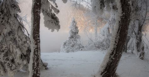 Жаркие дни в середине лета