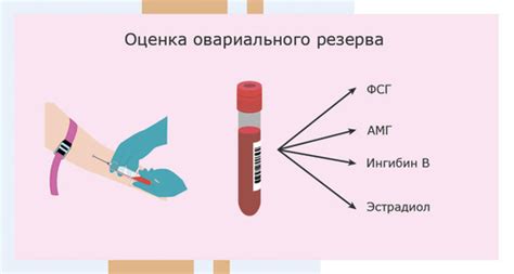 Женские гормоны: какие анализы нужно сдать