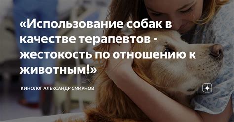 Жестокость по отношению к животным и природе