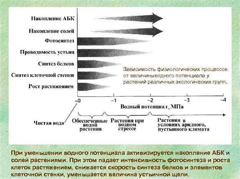 Зависимость от физиологических процессов