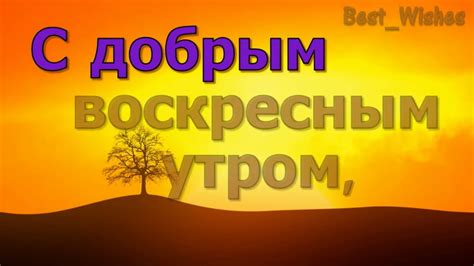 Законодательство и первые шаги к установлению выходного воскресенья