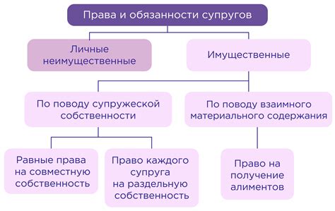 Законодательство и права супругов