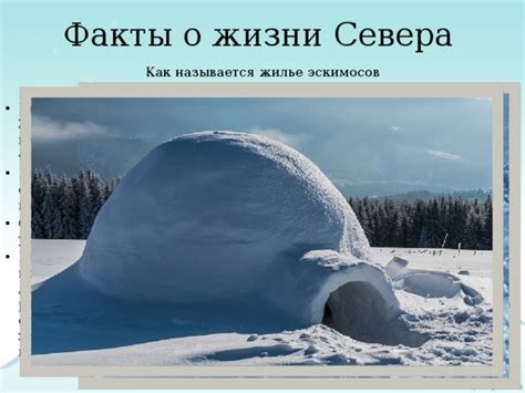 Заметили, как снег проникает в каждый уголок вашего жилища?