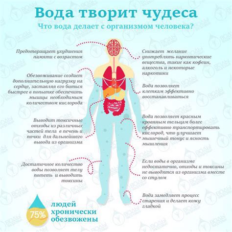 Зачем пить воду после фруктов: преимущества и польза